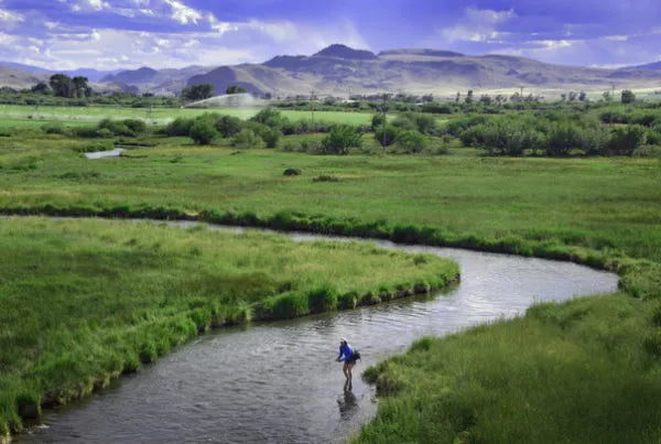 Montana Fly Fishing | Silver Bow Club