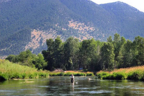 Montana Fly Fishing | Silver Bow Club